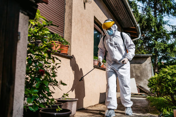 Best Residential Pest Control  in Sun Valley, PA