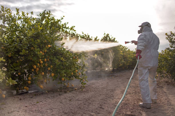 Best Commercial Pest Control Services  in Sun Valley, PA