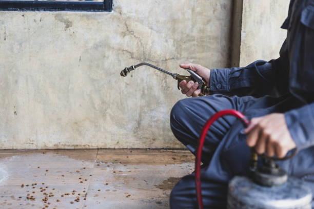 Best Best Pest Control Companies  in Sun Valley, PA